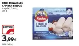 Ipercoop Fiori di nasello Findus offerta