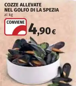 Ipercoop Cozze allevate nel golfo di La Spezia offerta
