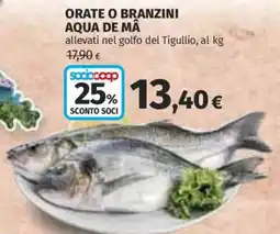 Ipercoop Orate o branzini aqua de mâ offerta