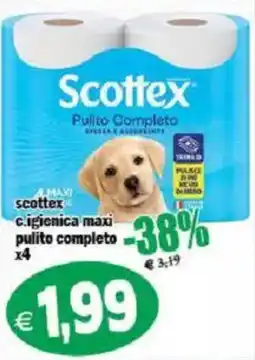Il Castoro Supermercati Scottex pulito completo offerta