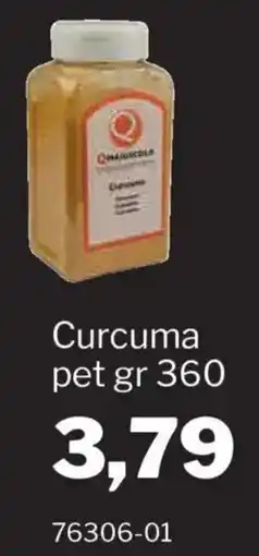 GrosMarket QMaiuscola Curcuma offerta