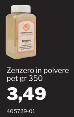GrosMarket QMaiuscola Zenzero in polvere offerta