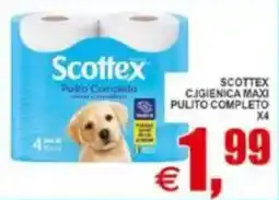 Pewex Scottex Pulito Completo offerta