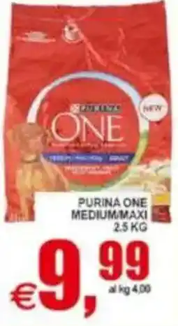 Pewex Purina One Medium Maxi offerta