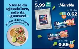 GrosMarket Tonno Mareblu offerta