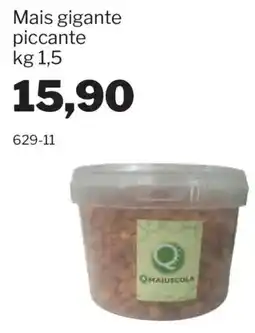 GrosMarket Mais gigante piccante Maiuscola offerta