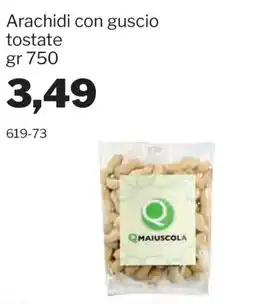GrosMarket Arachidi con guscio tostate Maiuscola offerta