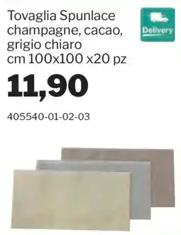 GrosMarket Tovaglia Spunlace offerta