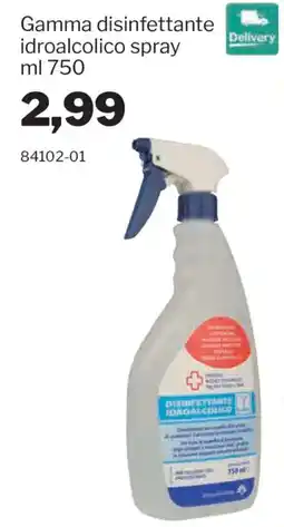 GrosMarket Gamma disinfettante idroalcolico spray offerta