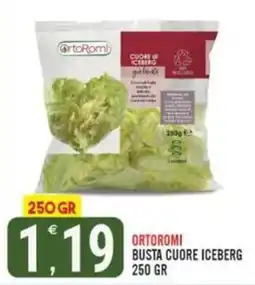 Tutto Buono OrtoRomi Busta Cuore Iceberg offerta
