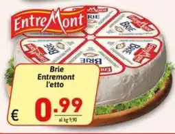 Ipercarni Brie Entremont offerta