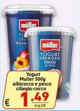 Ipercarni Yogurt Muller offerta