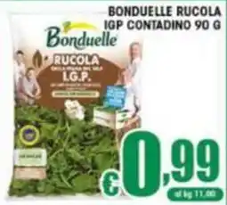Sacoph Bonduelle Rucola offerta