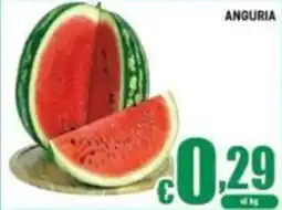Sacoph Anguria offerta