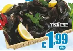 Sacoph Cozze Italia offerta