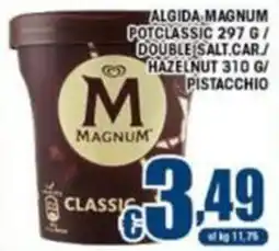 Sacoph Magnum classic offerta
