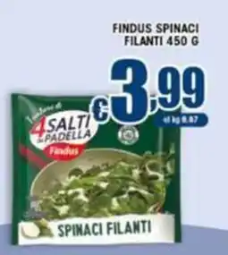 Sacoph Findus spinaci filanti offerta