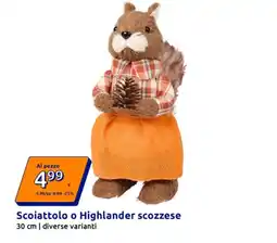 Action Scoiattolo o Highlander scozzese offerta