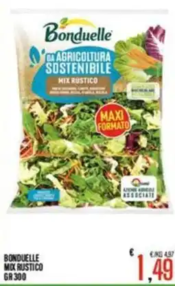 Supermercati EffePiù Bonduelle mix rustico offerta