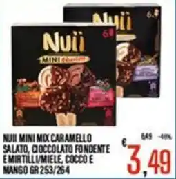 Supermercati EffePiù Nuii mini mix caramello salato, cioccolato fondente e mirtilli/miele, cocco e mango offerta