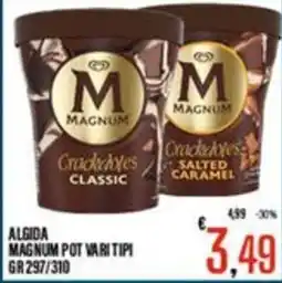 Supermercati EffePiù Magnum pot varitipi offerta