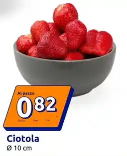 Action Ciotola offerta
