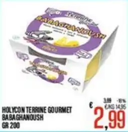 Supermercati EffePiù Holycon terrine gourmet babaghanoush offerta
