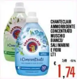 Supermercati EffePiù Chanteclair ammorbidente concentrato muschio bianco/sali marini e fiori offerta