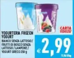 Iperfamily Yogurteria Frozen Yogurt offerta