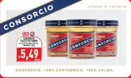 Iperfamily Consorcio filetti di tonno offerta