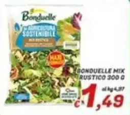 Idromarket Bonduelle mix rustico offerta