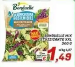Idromarket Bonduelle mix stuzzicante xxl offerta