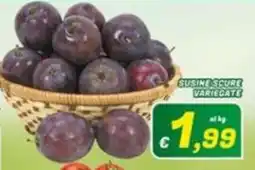 Idromarket Susine scure variegate offerta