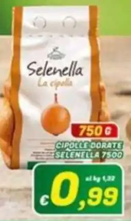 Idromarket Selenella La cipolla offerta