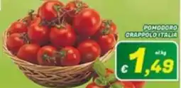 Idromarket Pomodoro Grappolo Italia offerta
