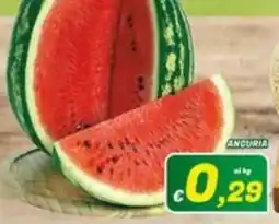 Idromarket Anguria offerta