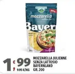 Vivo Supermercati Mozzarella julienne senza lattosio Bayerland offerta