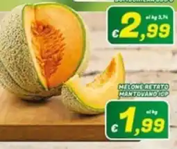 Idromarket Melone retato Mantovano IGP offerta