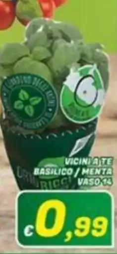 Idromarket Basilico / Menta offerta