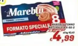 Idromarket Tonno in scatola Mareblu offerta