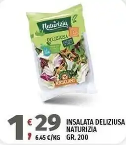 Vivo Supermercati Insalata deliziosa Naturizia offerta