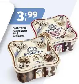 Vivo Supermercati Sorbettiera Sammontana offerta