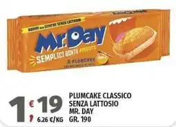 Vivo Supermercati Plumcake classico senza lattosio Mr. Day offerta