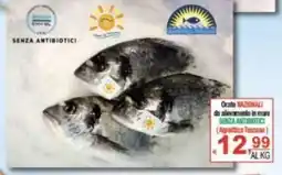 CTS Supermercati Orate nazionali offerta