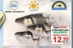 CTS Supermercati Spigole Nazionali offerta
