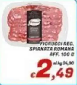 Idromarket Fiorucci reg. spianata romana offerta