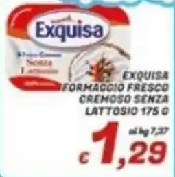 Idromarket Exquisa formaggio fresco cremoso senza lattosio offerta