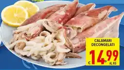 Iper Triscount Calamari decongelati offerta