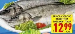 Iper Triscount Spigola agroittica offerta