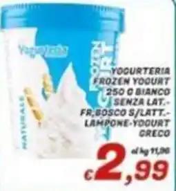 Idromarket Yogurteria frozen yogurt offerta
